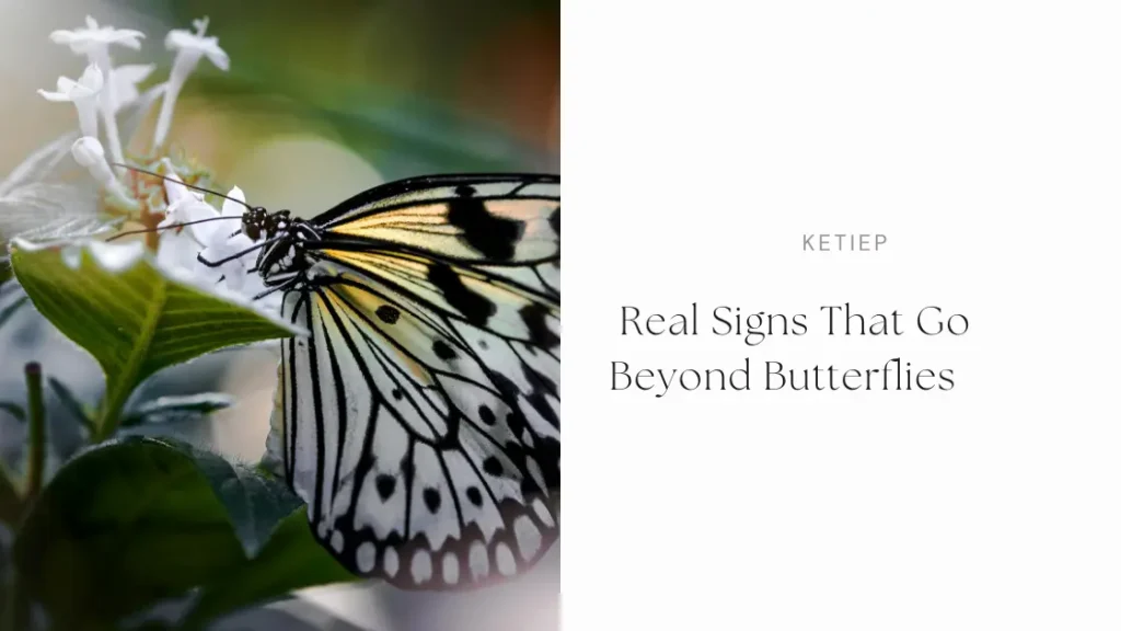 How to Know If You Love Someone : Real Signs That Go Beyond Butterflies 3 Real Signs That Go Beyond Butterflies